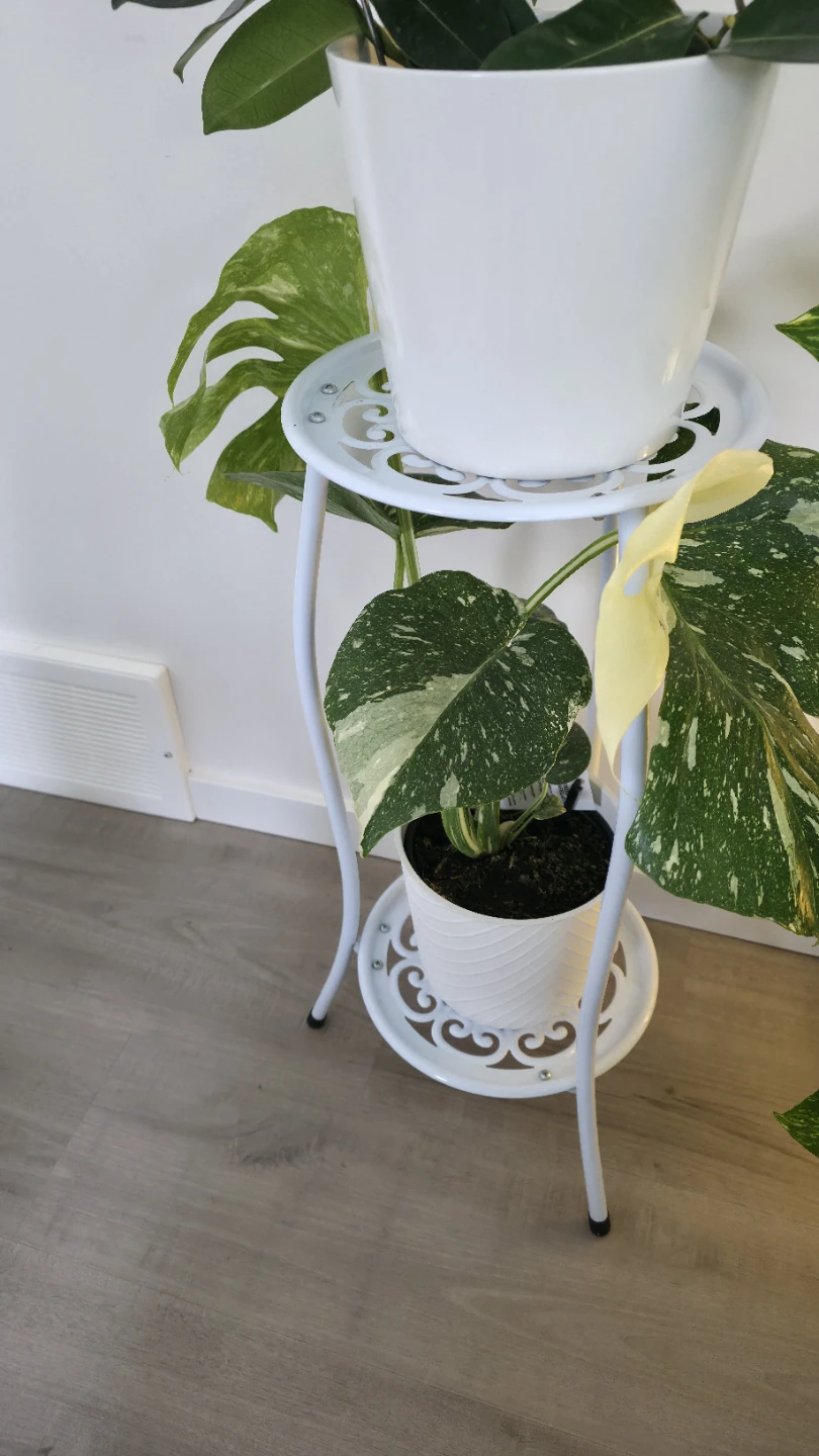 White Metal Plant Stand with Two Tiers