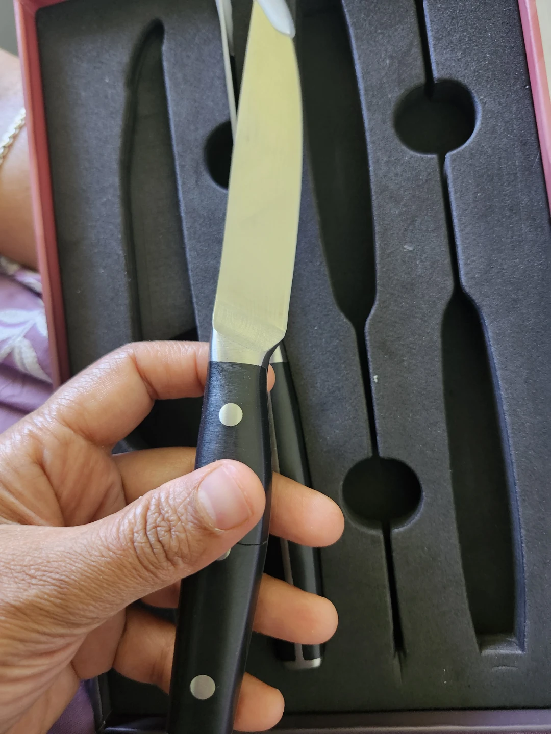 Pichet Haust Knife Set