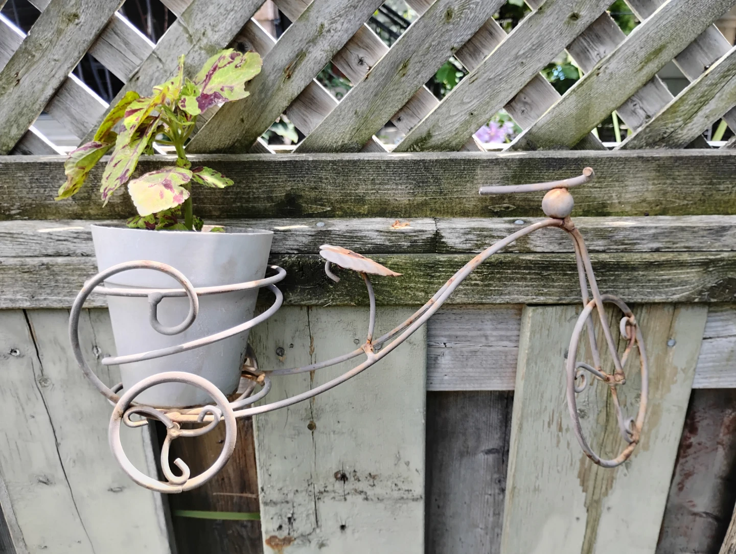 Decorative Metal Bicycle Plant Holder⚽ - photo 2