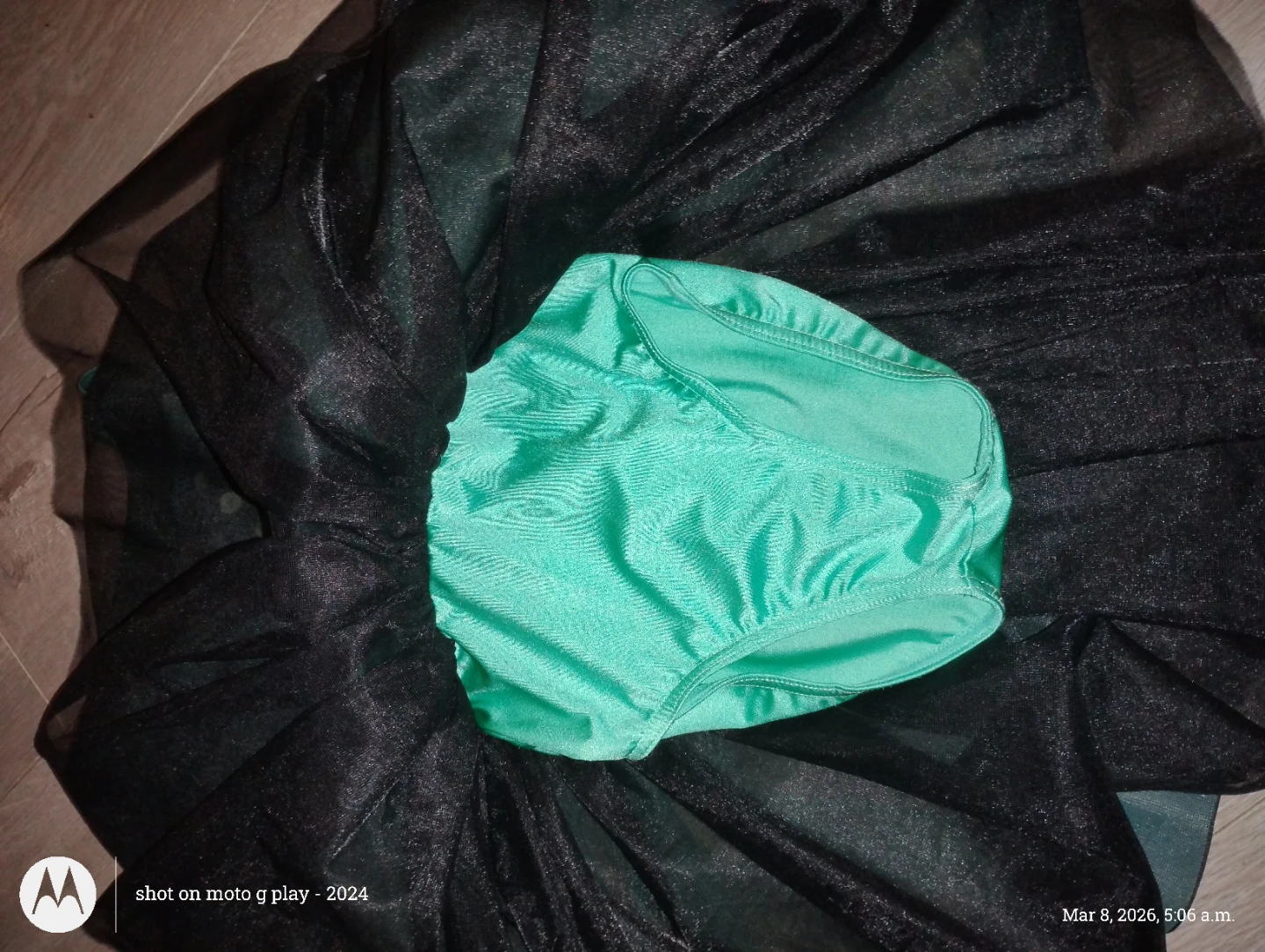 Weissman Dance Costume - photo 5