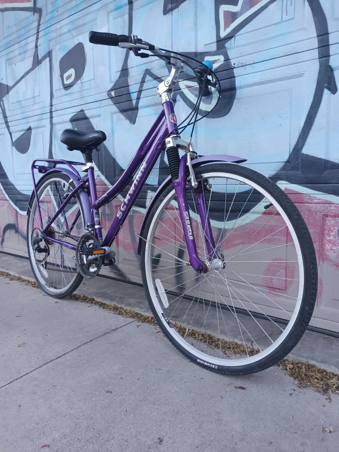 Schwinn Bike