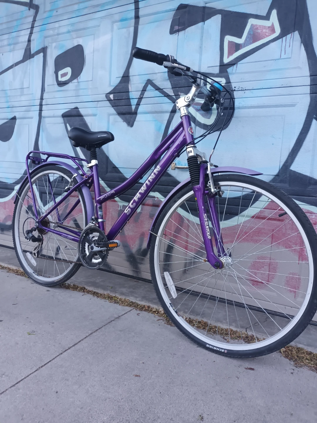Schwinn Bike - photo 2