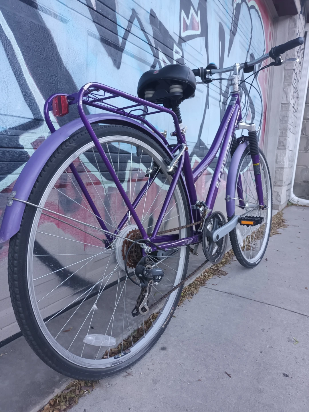 Schwinn Bike - photo 3