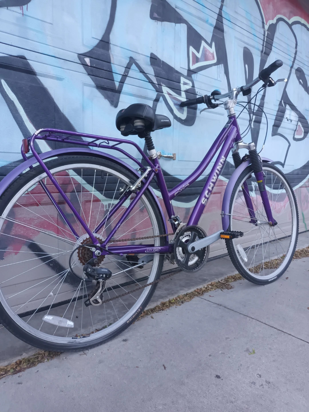Schwinn Bike - photo 4