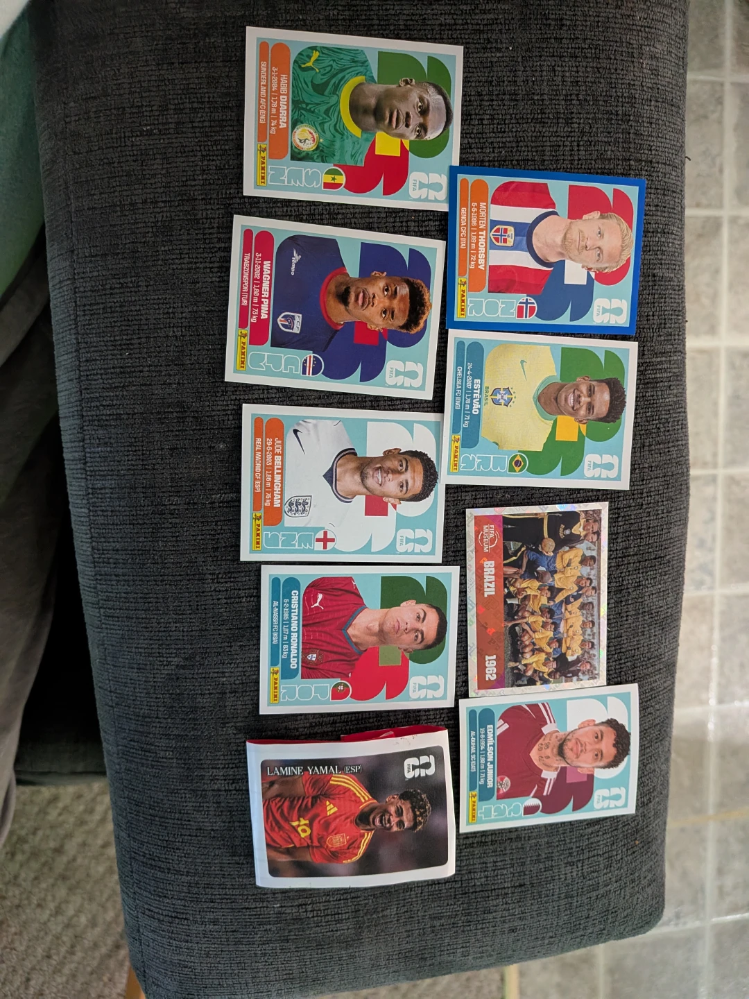 Panini FIFA Trading Cards