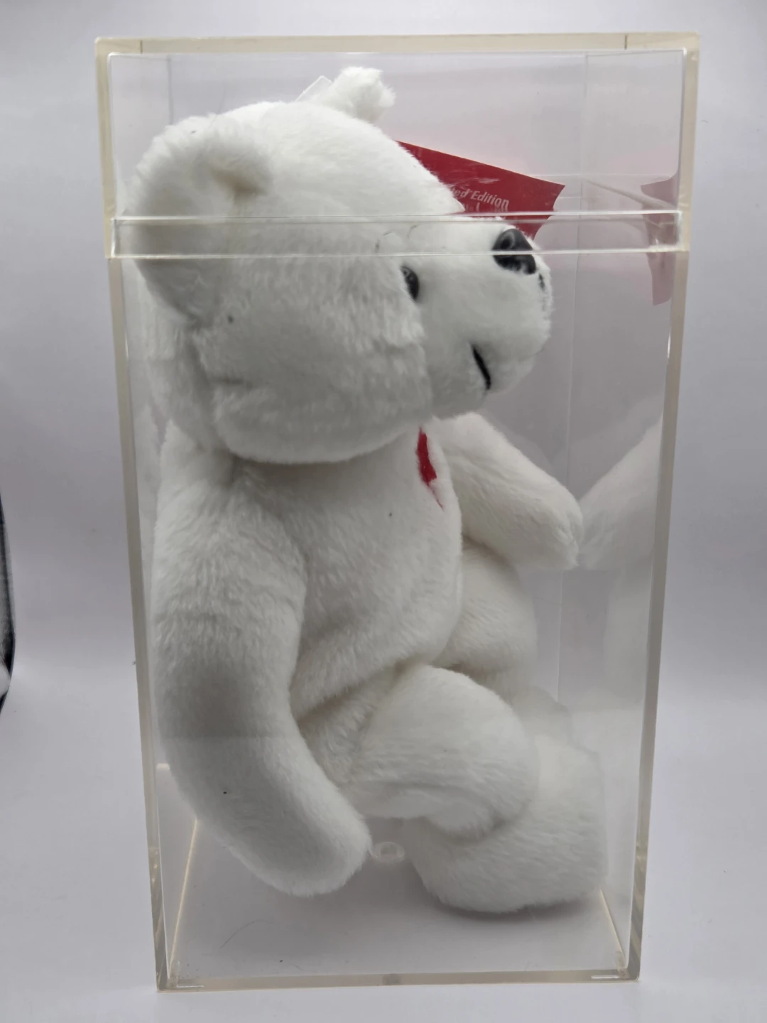 Ty Beanie Baby "Maple the Bear" (Canada Exclusive) with Case - photo 4