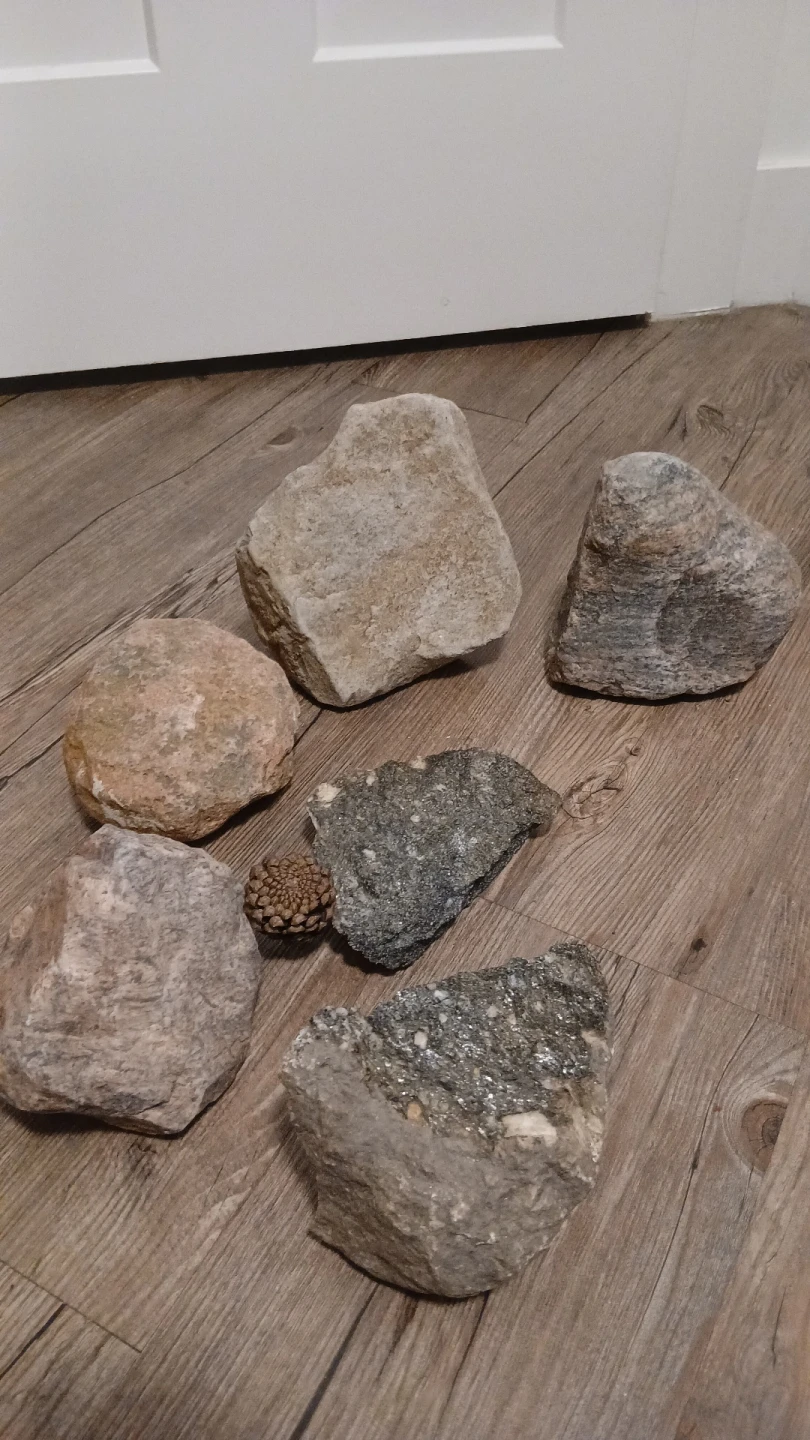 Collection of rocks and a pinecone.