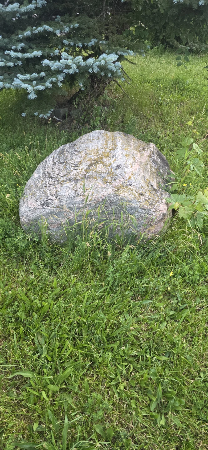 Free Large Landscaping Rock / Boulder (Must Haul) - photo 4
