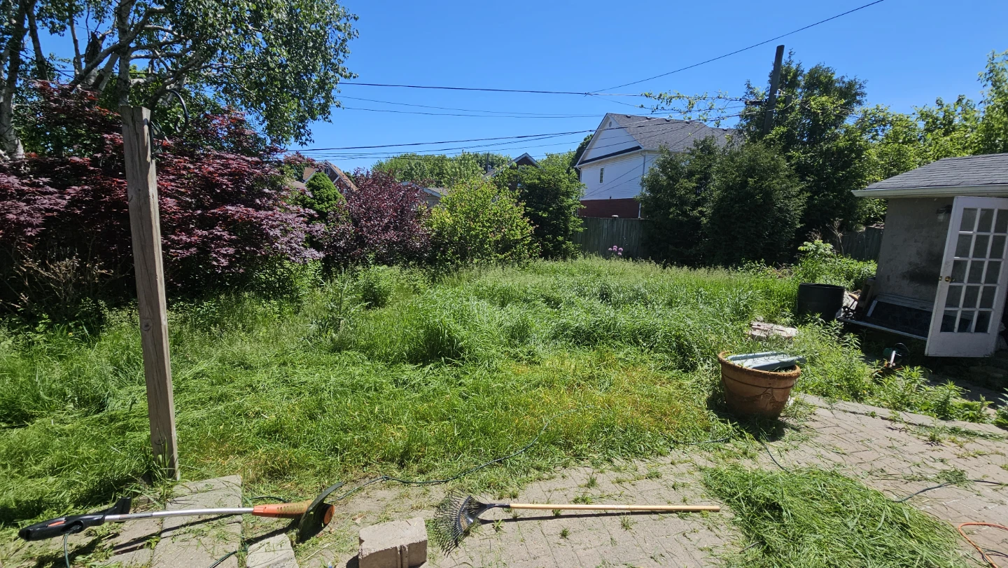 Lawn Maintenance