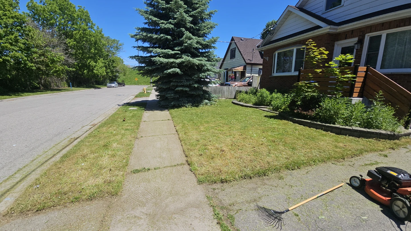 Lawn Maintenance - photo 4