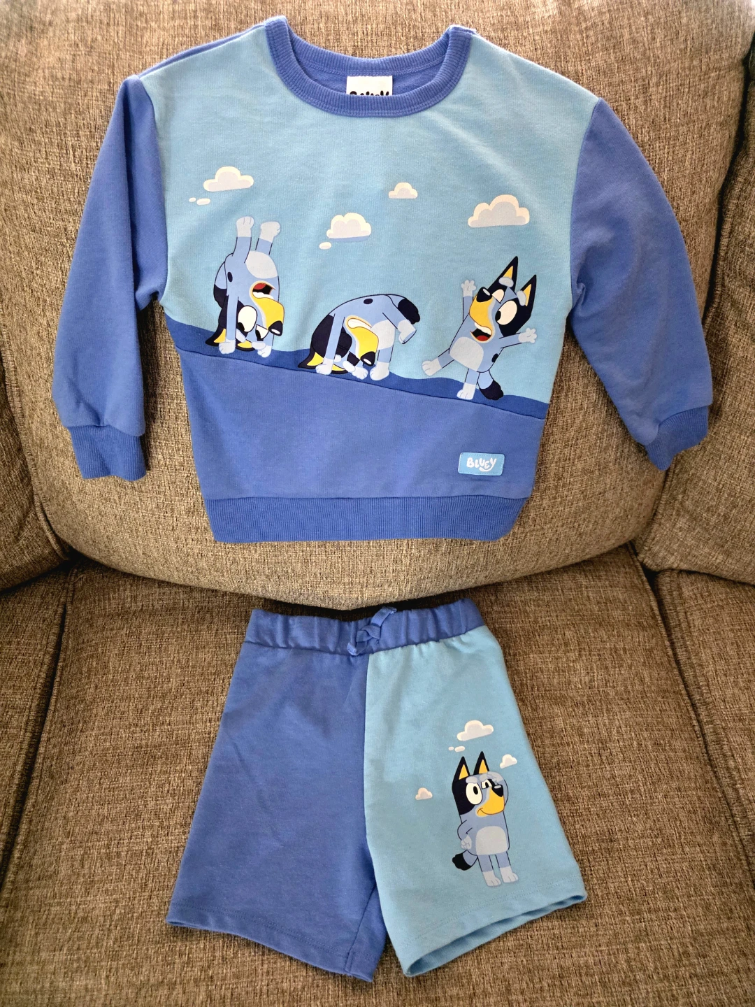 Bluey Sweater Set