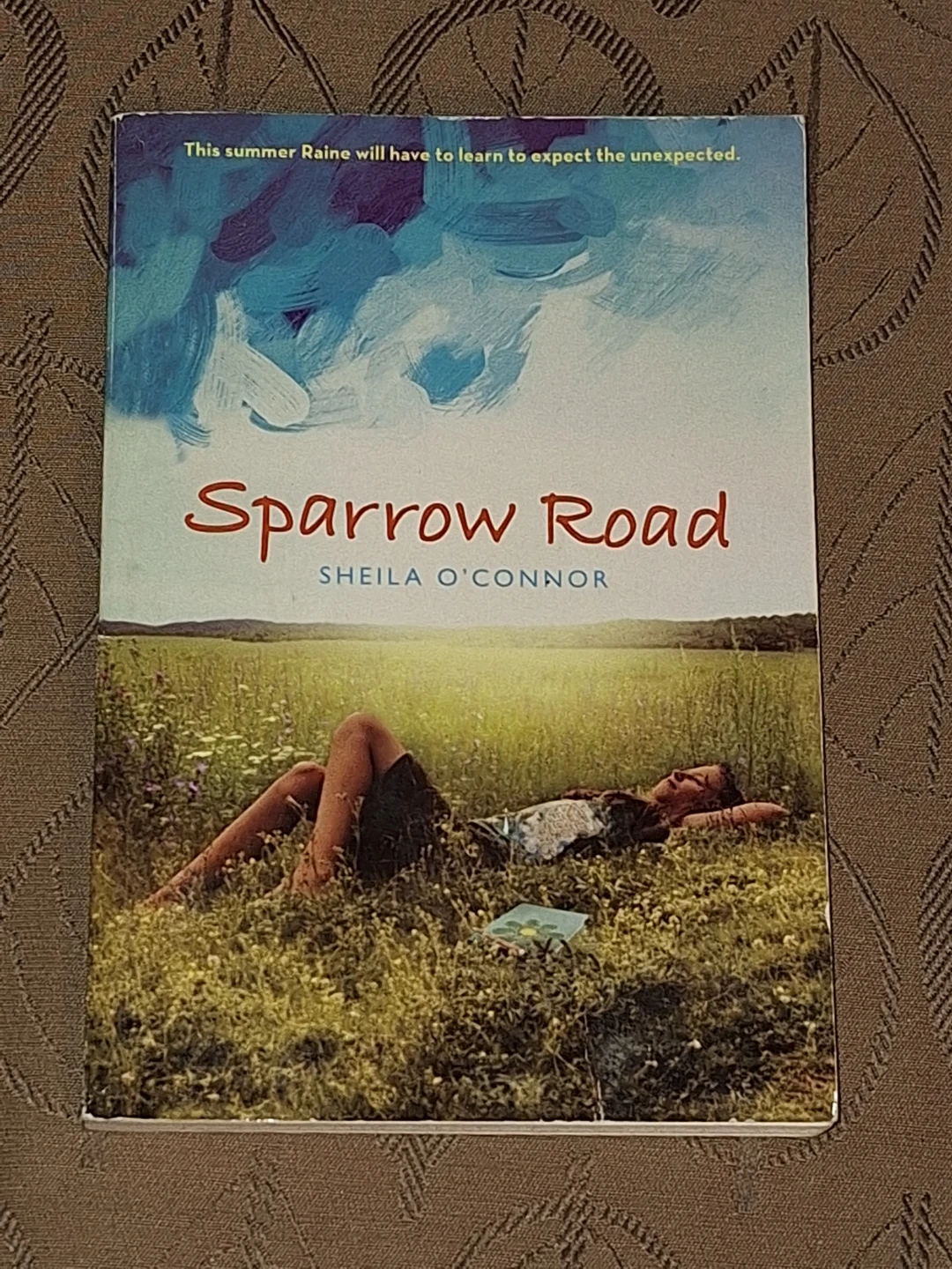 Sparrow Road by Sheila O'Connor Paperback Book