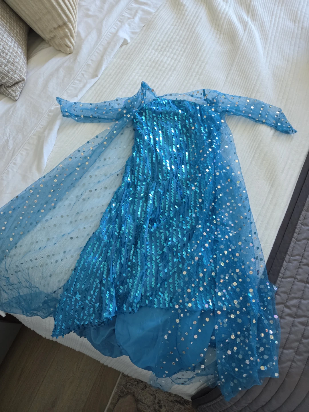Elsa Princess Costume Set