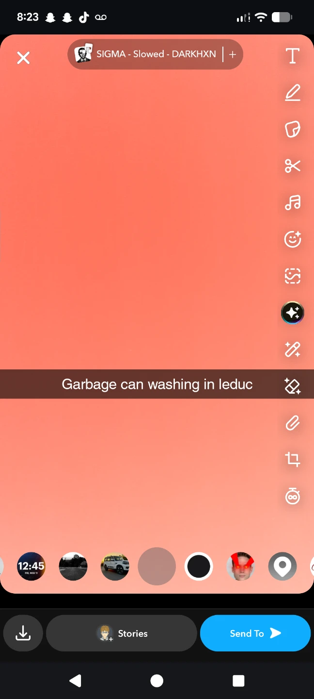 Garbage can washing in leduc