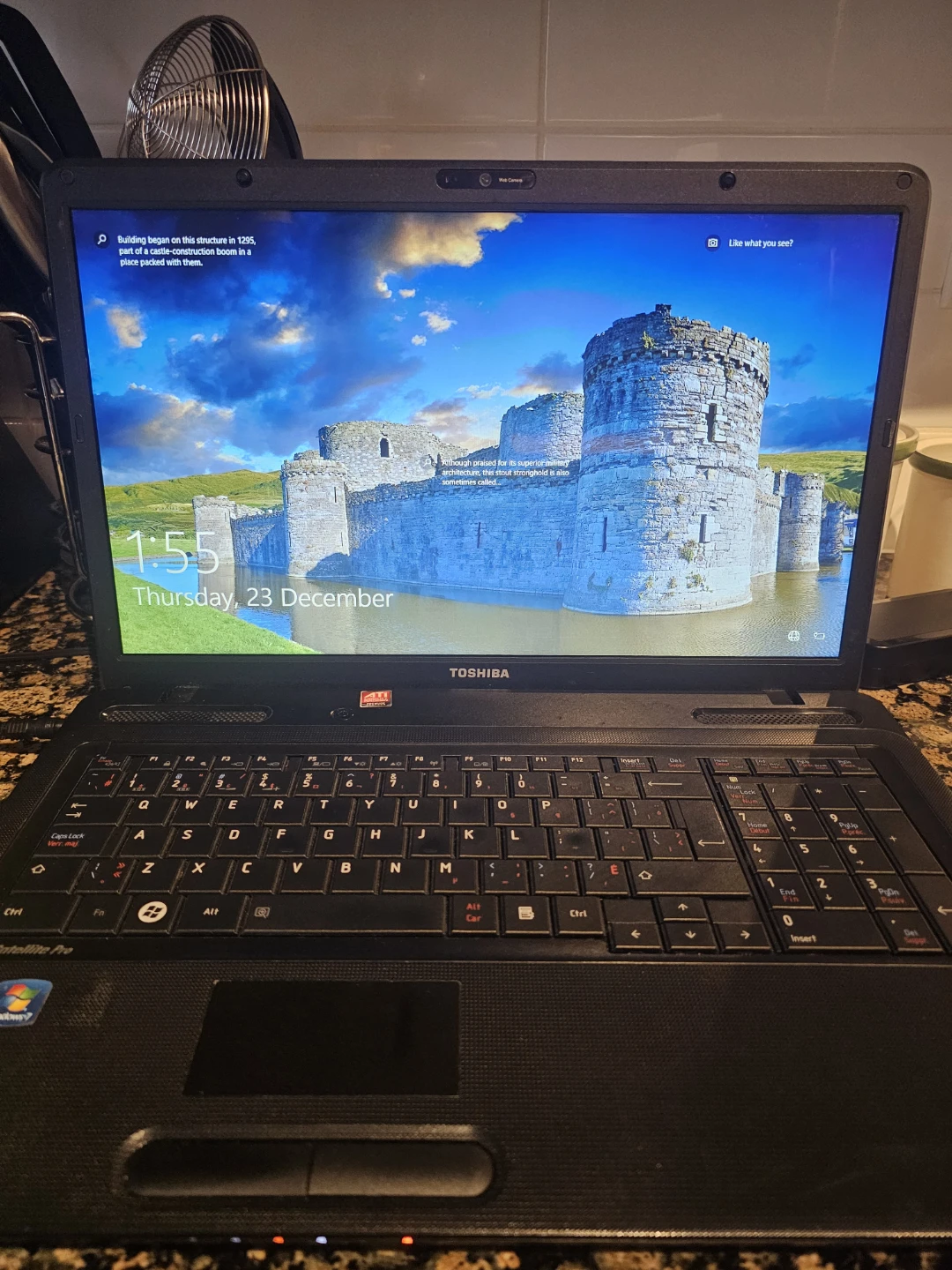 Toshiba Satellite Pro Laptop - photo 2