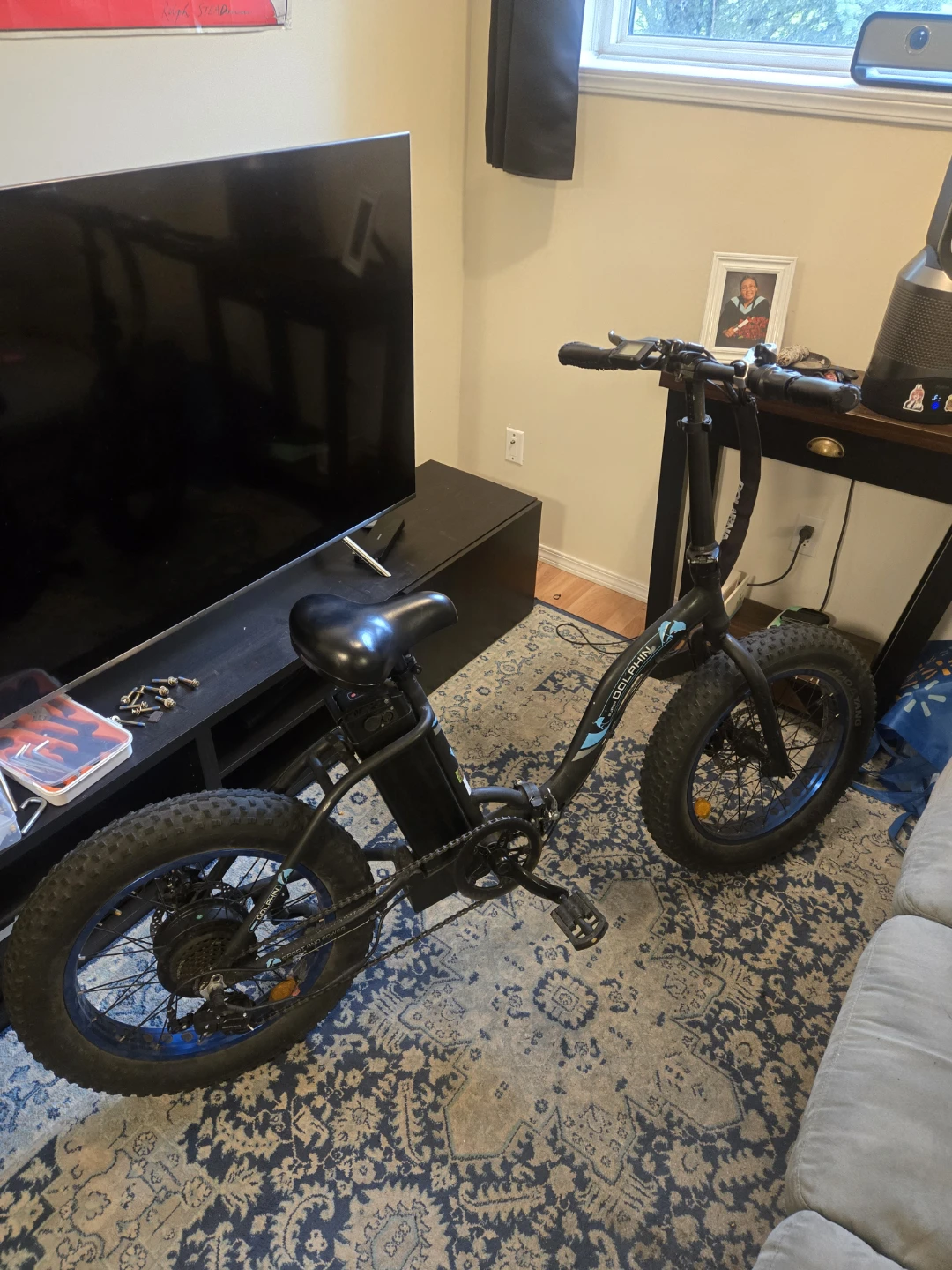 Fat Tire folding Electric Bike (price negotiable)