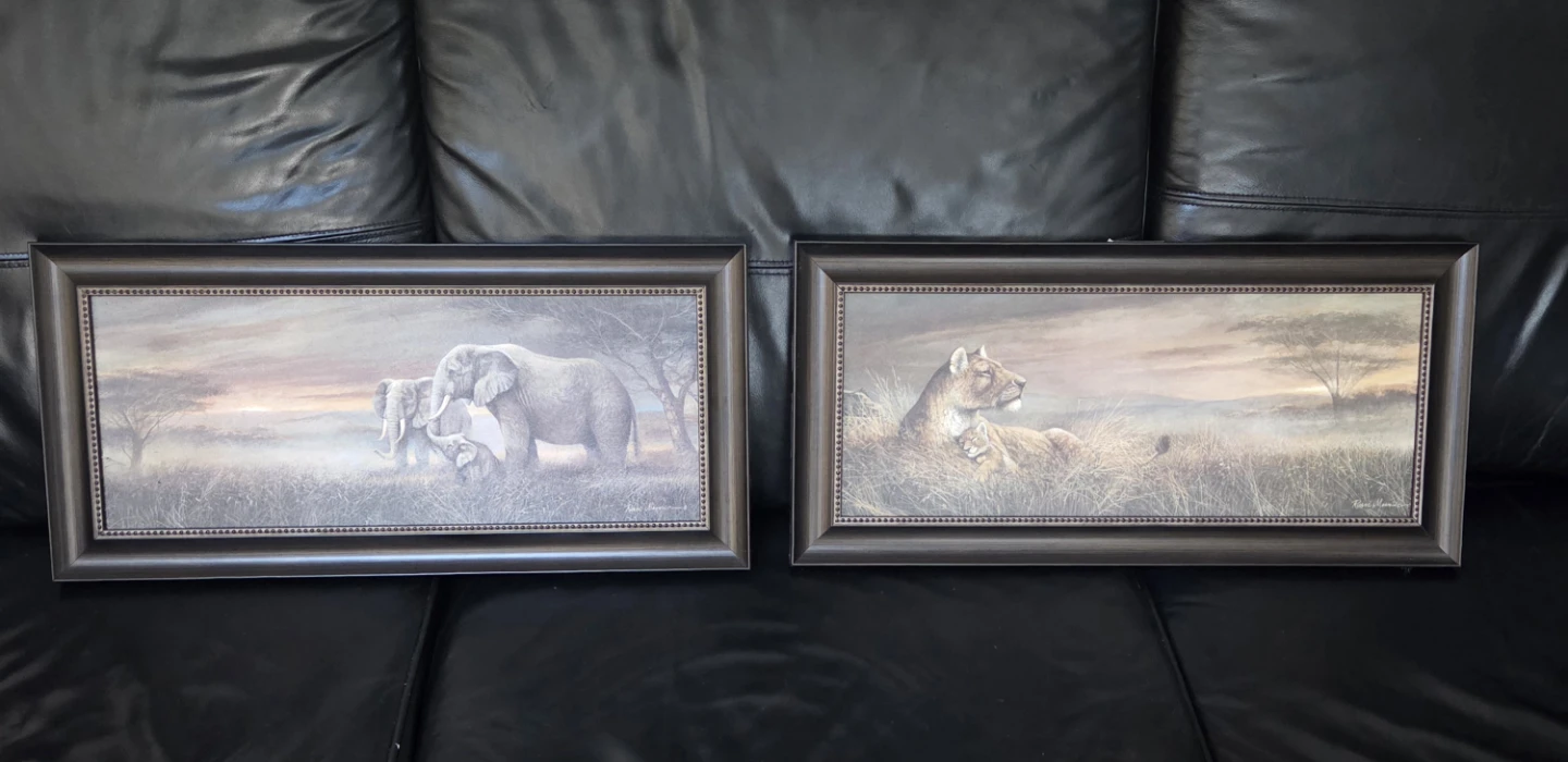 2 Framed African Wildlife Art Prints
