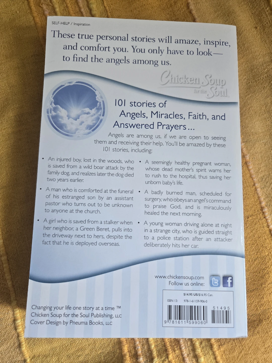 Chicken Soup for the Soul: Angels Among Us Book - photo 2