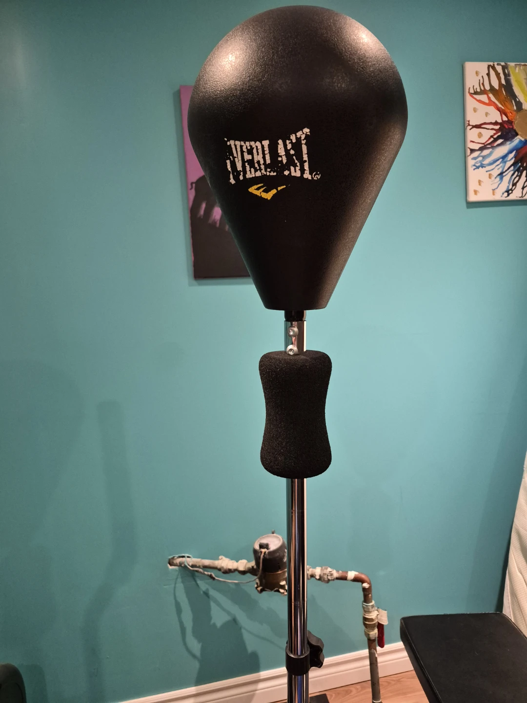 Everlast Punching Bag with Tapout Gloves