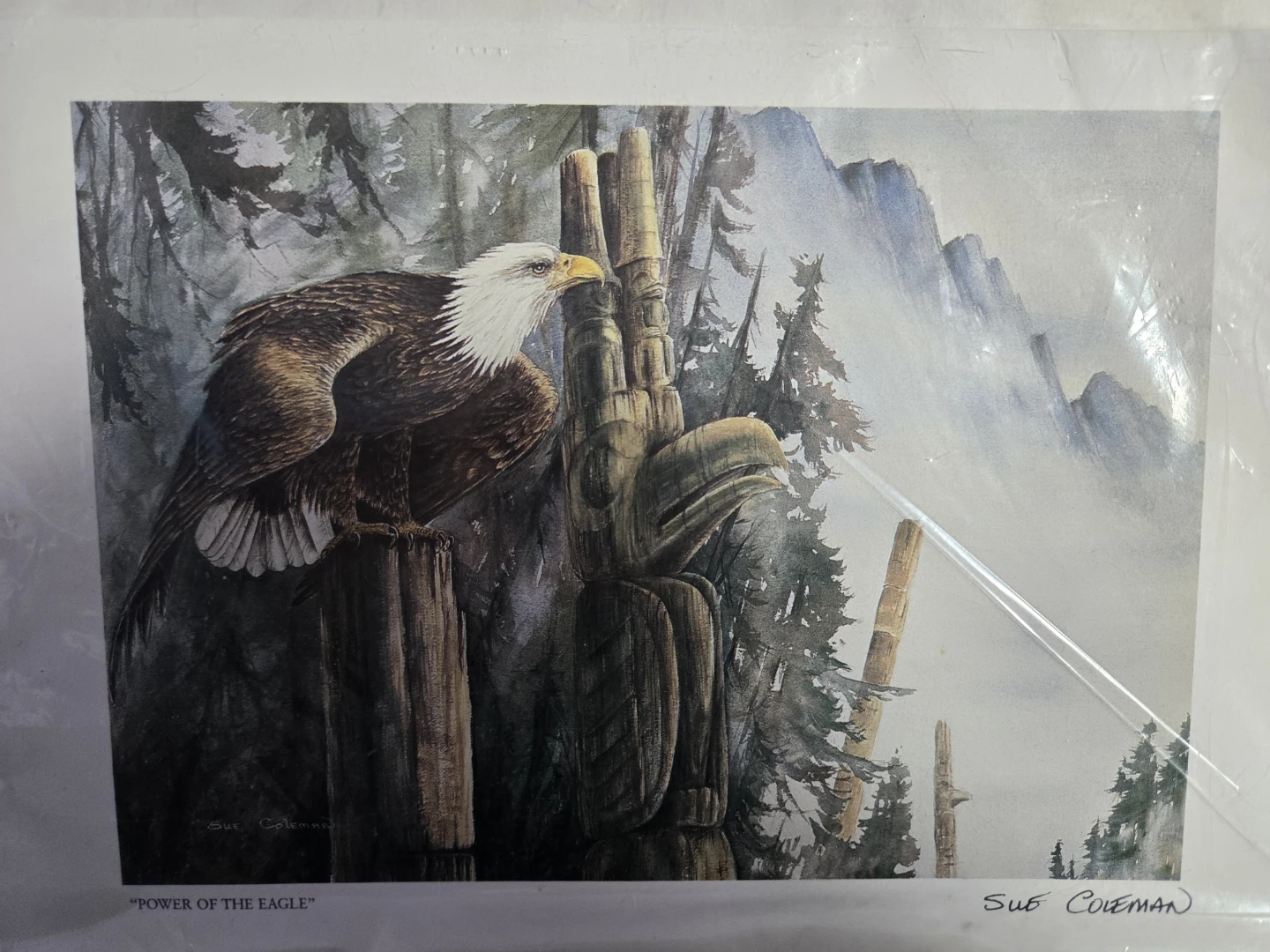 Sue Coleman "Power of the Eagle" Print