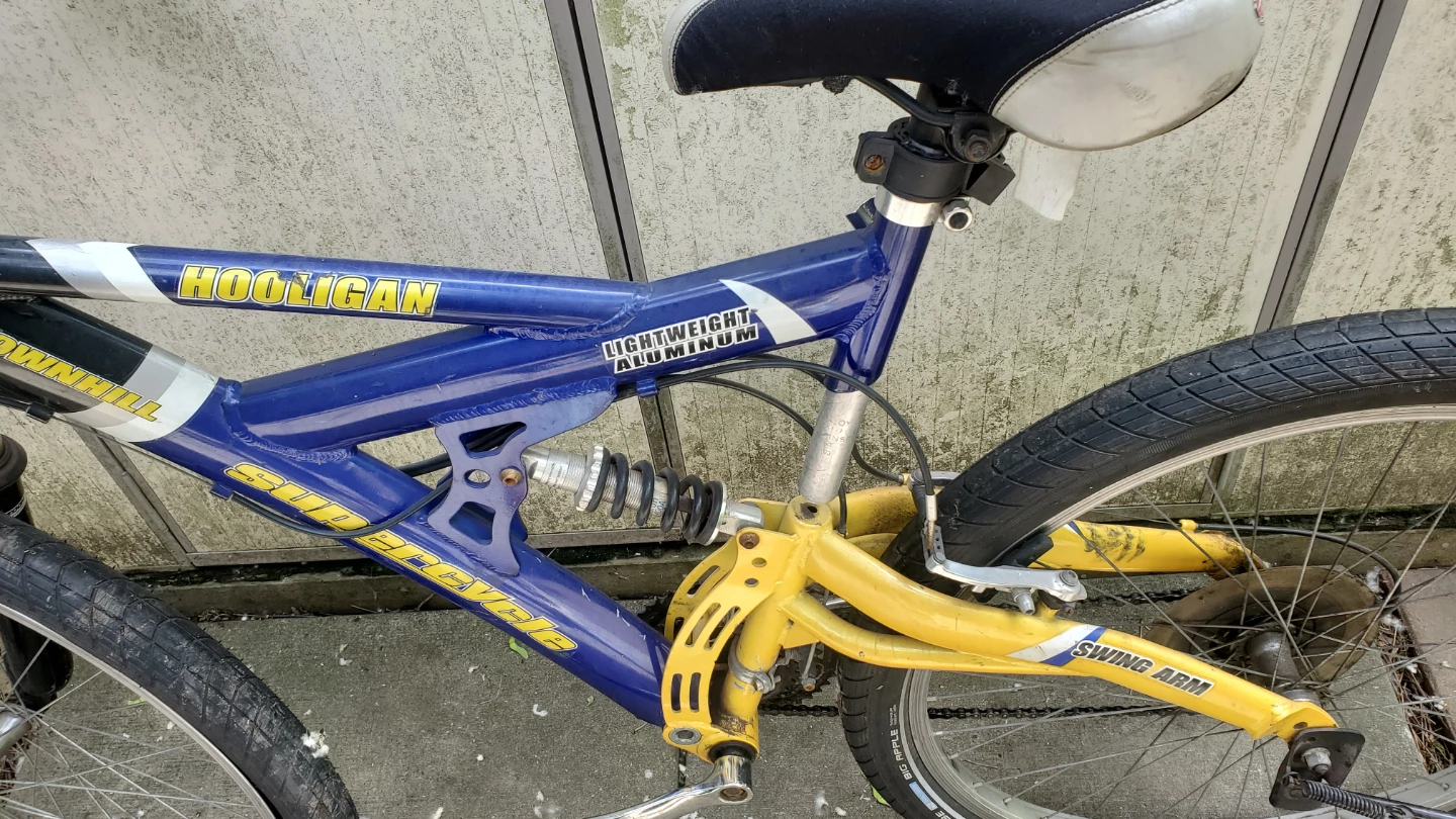 Schwinn HOOLIGAN Mountain Bike 20" Frame