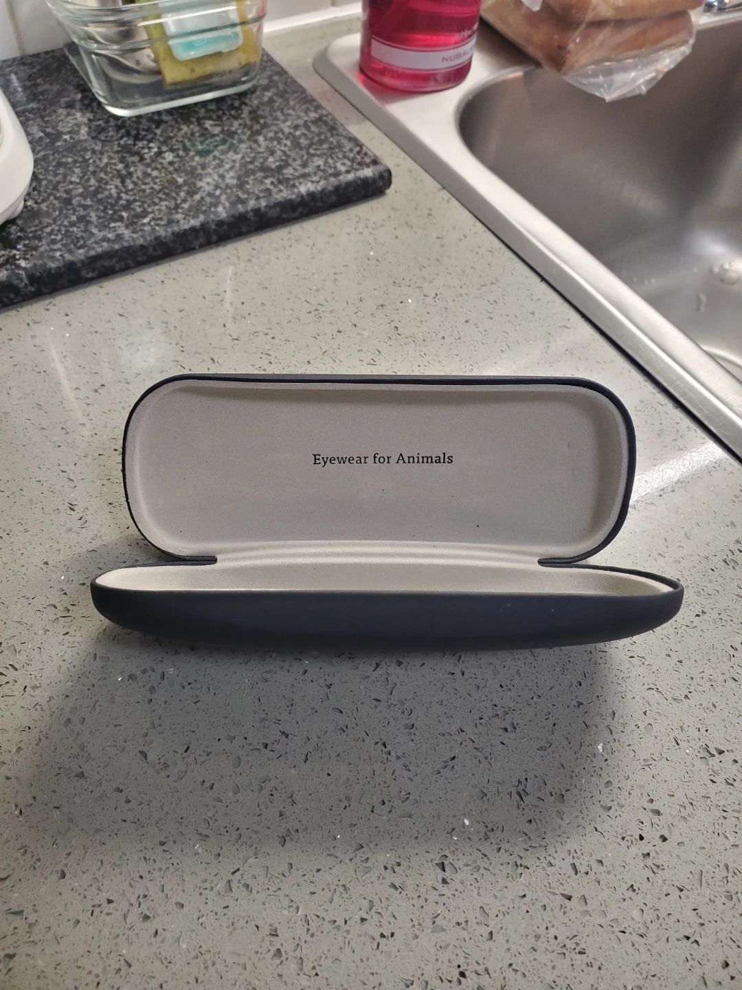 Fetch Eyewear Case - photo 2
