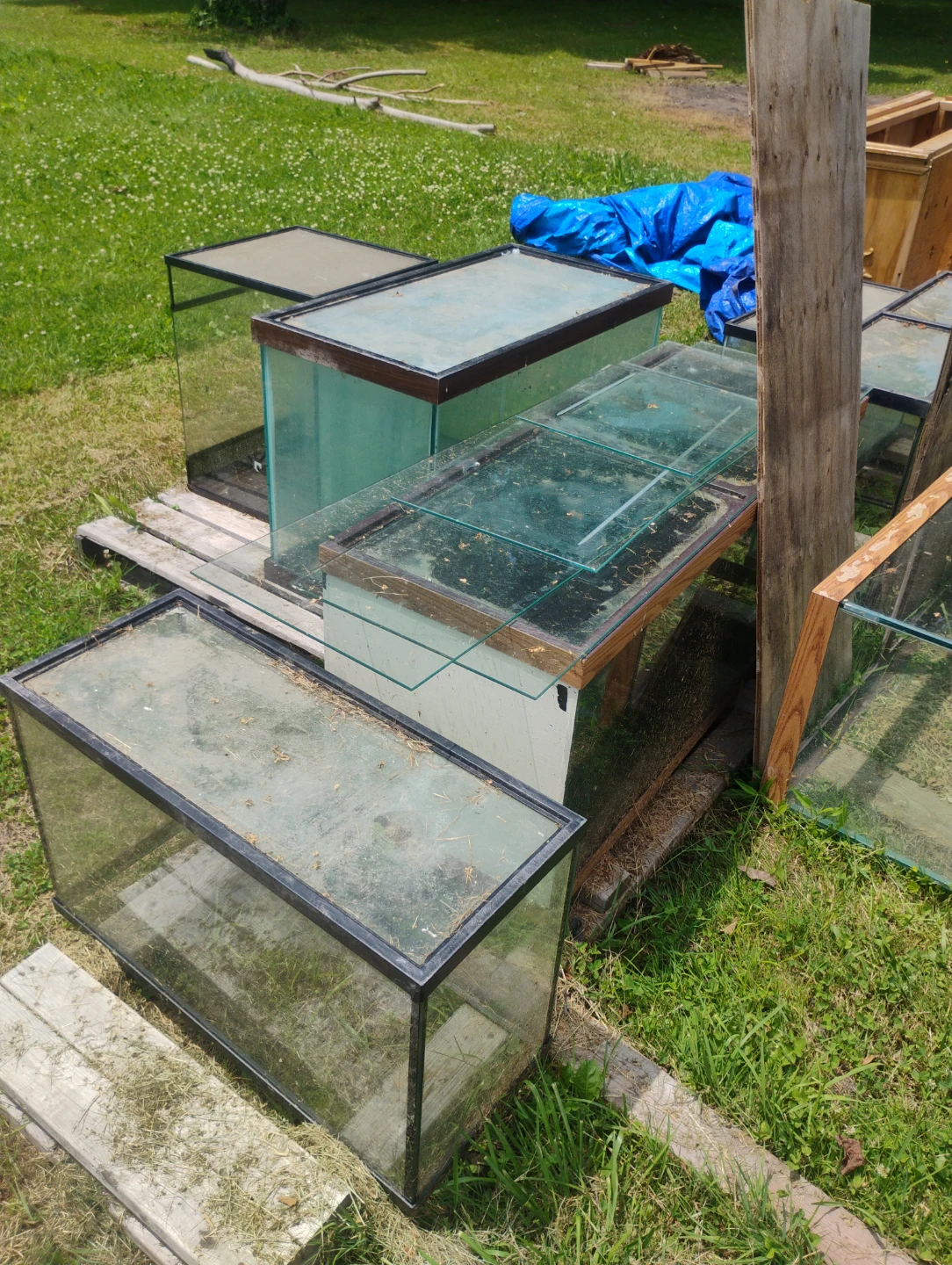 Assorted Glass Terrariums/Aquariums - photo 2