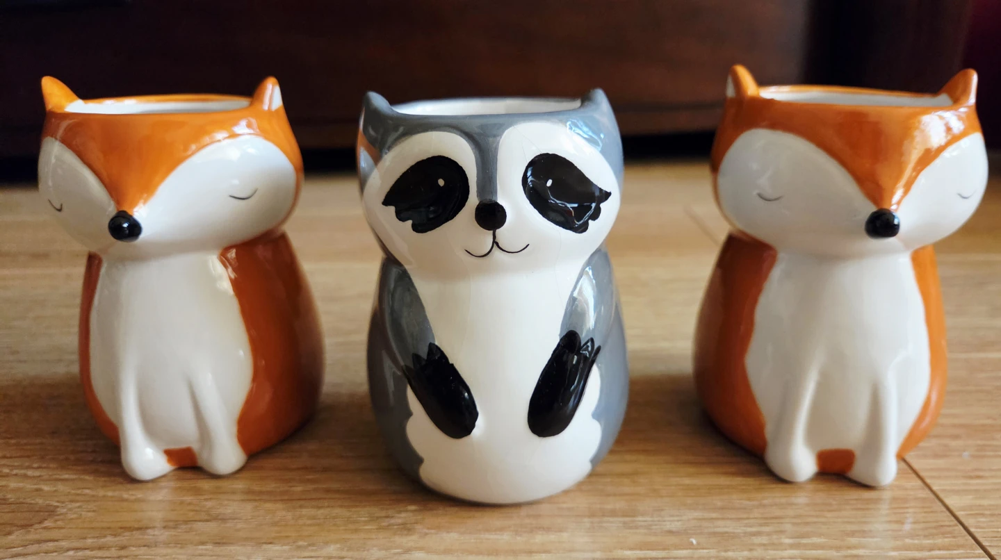 Set of 3 Ceramic Fox and Raccoon Planters ⚽️