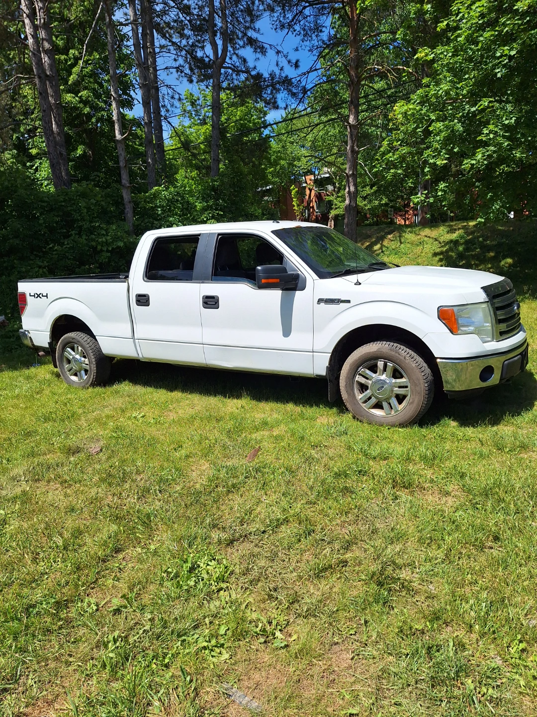 White Ford F-150 4x4 Truck - photo 3