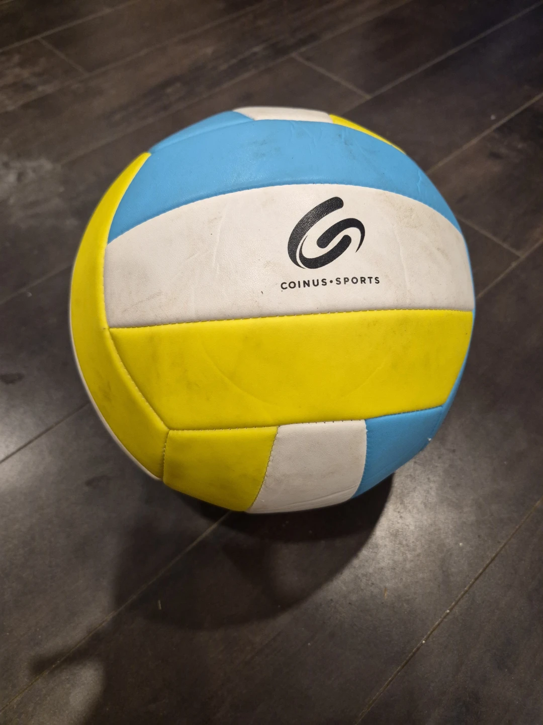 COINUS SPORTS Pumped Volleyball