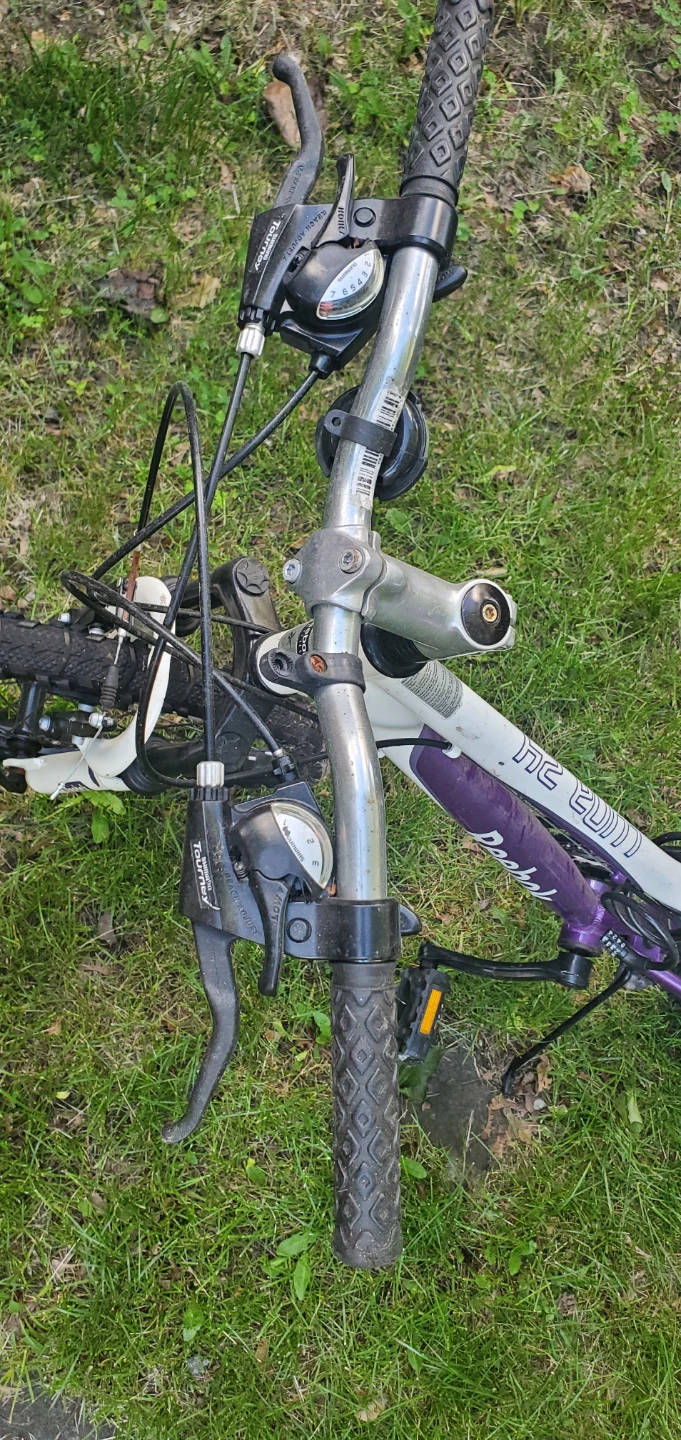 Reebok Luna 24 Junior Mountain Bike - photo 2