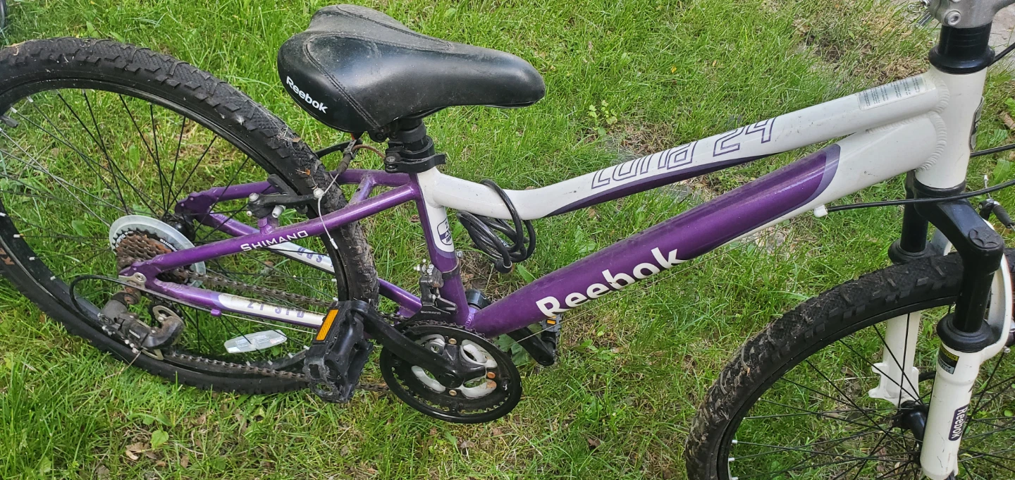 Reebok Luna 24 Junior Mountain Bike - photo 3