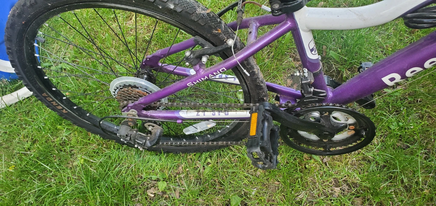Reebok Luna 24 Junior Mountain Bike - photo 5