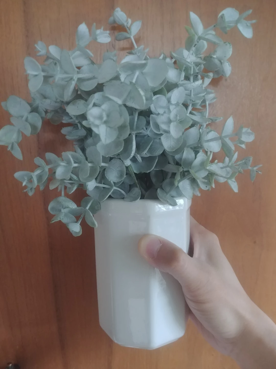 Artificial Eucalyptus Plant in White Ceramic Pot