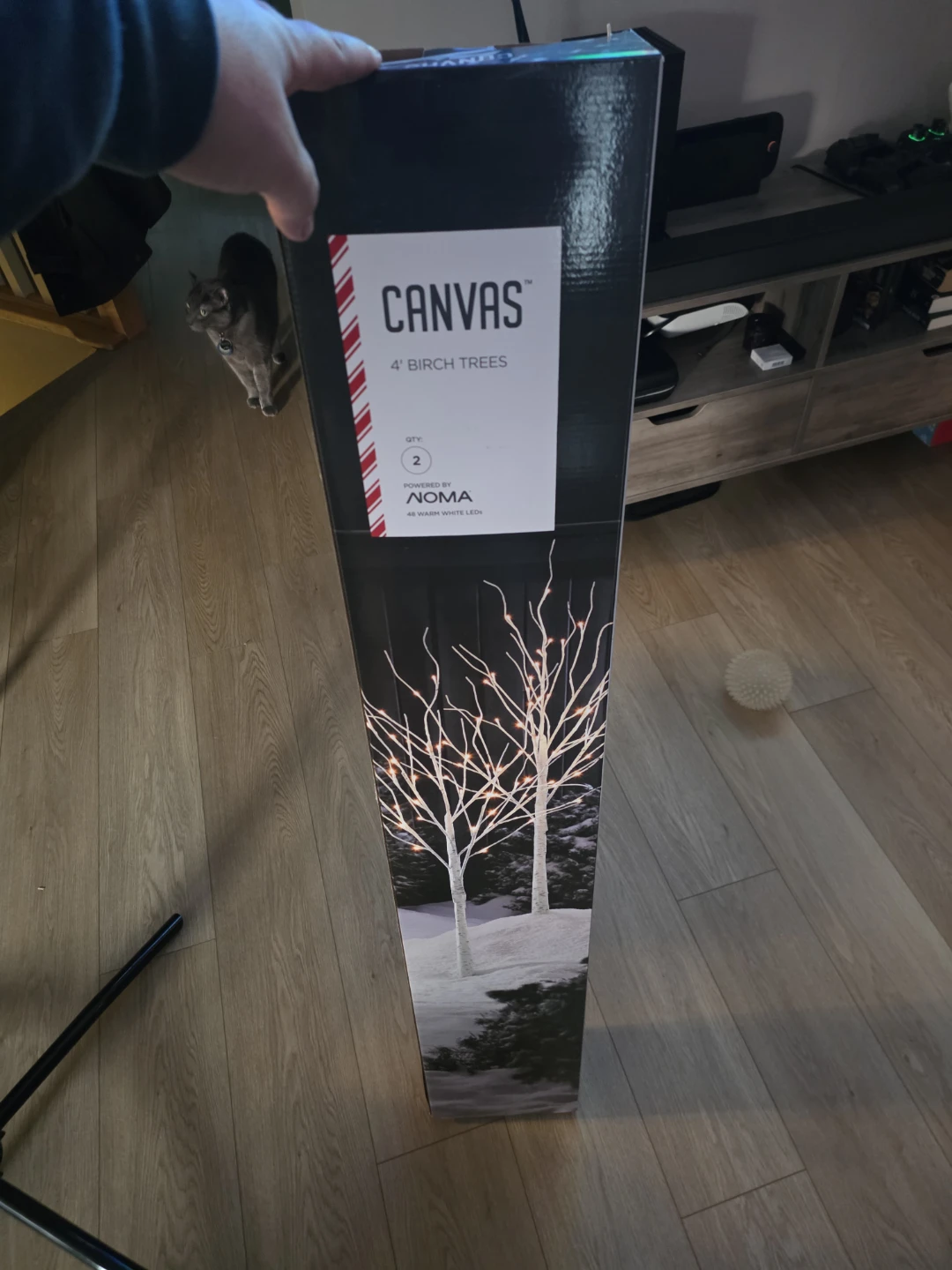 Canvas 4' Birch Trees with 48 Warm White LEDs