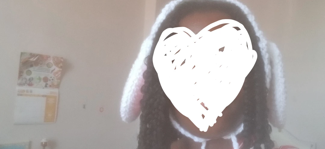 Crochet Bunny Ears (handmade)