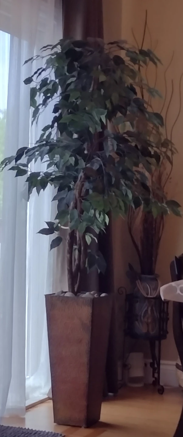 Artificial Ficus Tree in Decorative Pot - photo 2