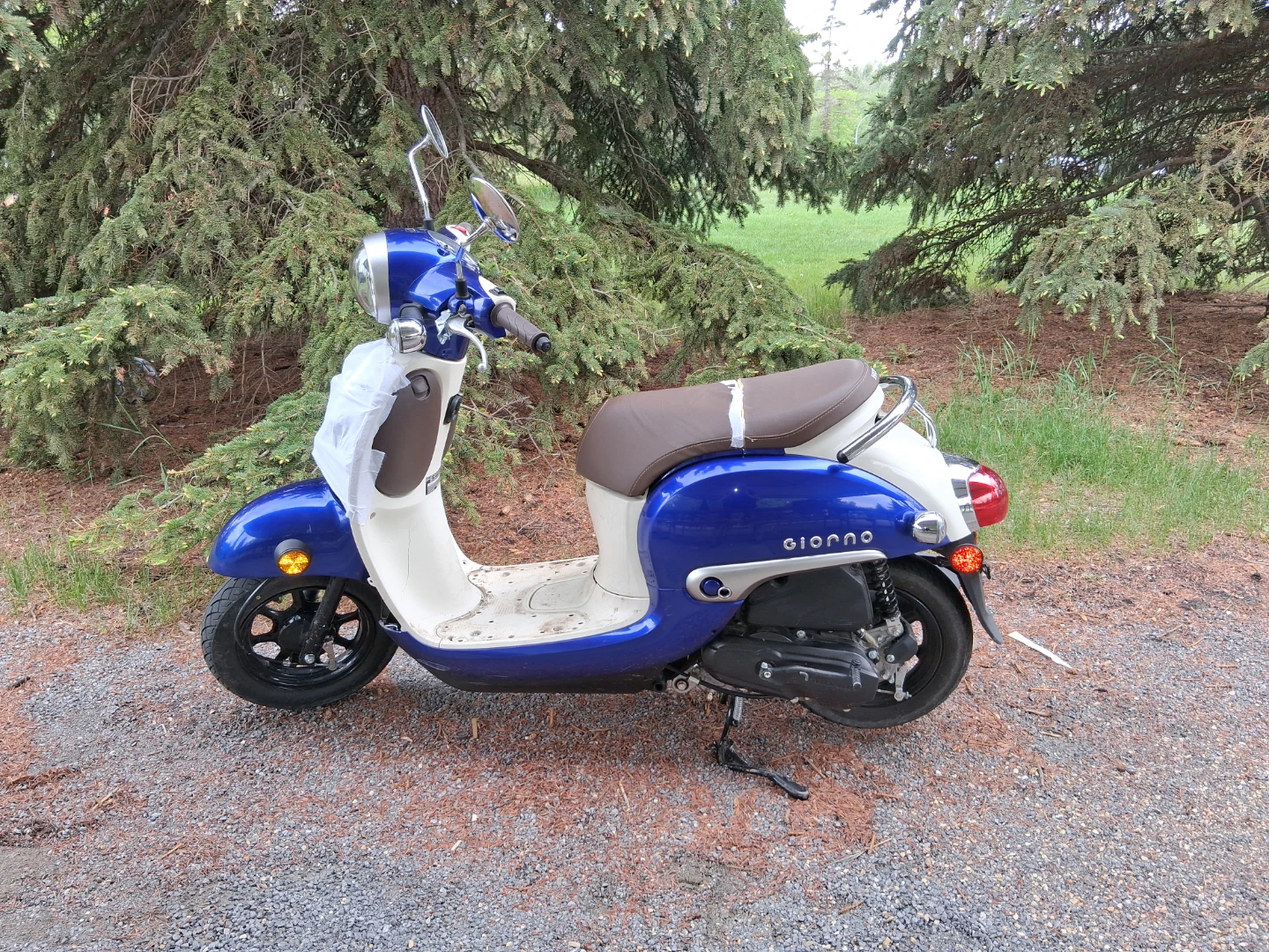2025 Honda Giorno Scooter 50cc