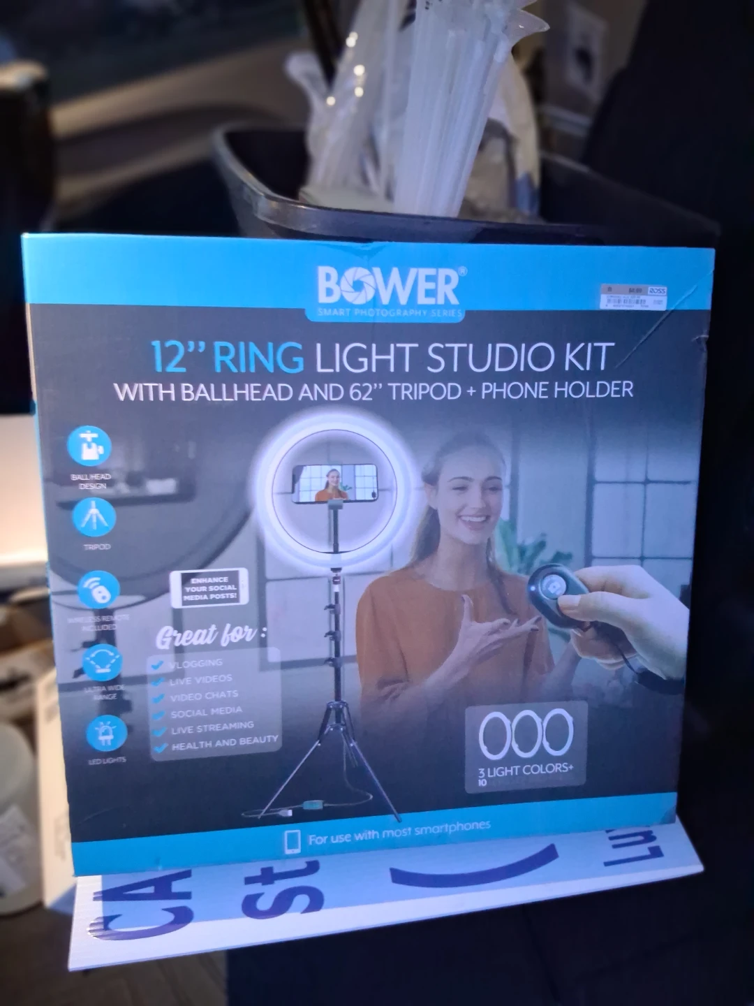 Bower Lighting Kit - photo 4