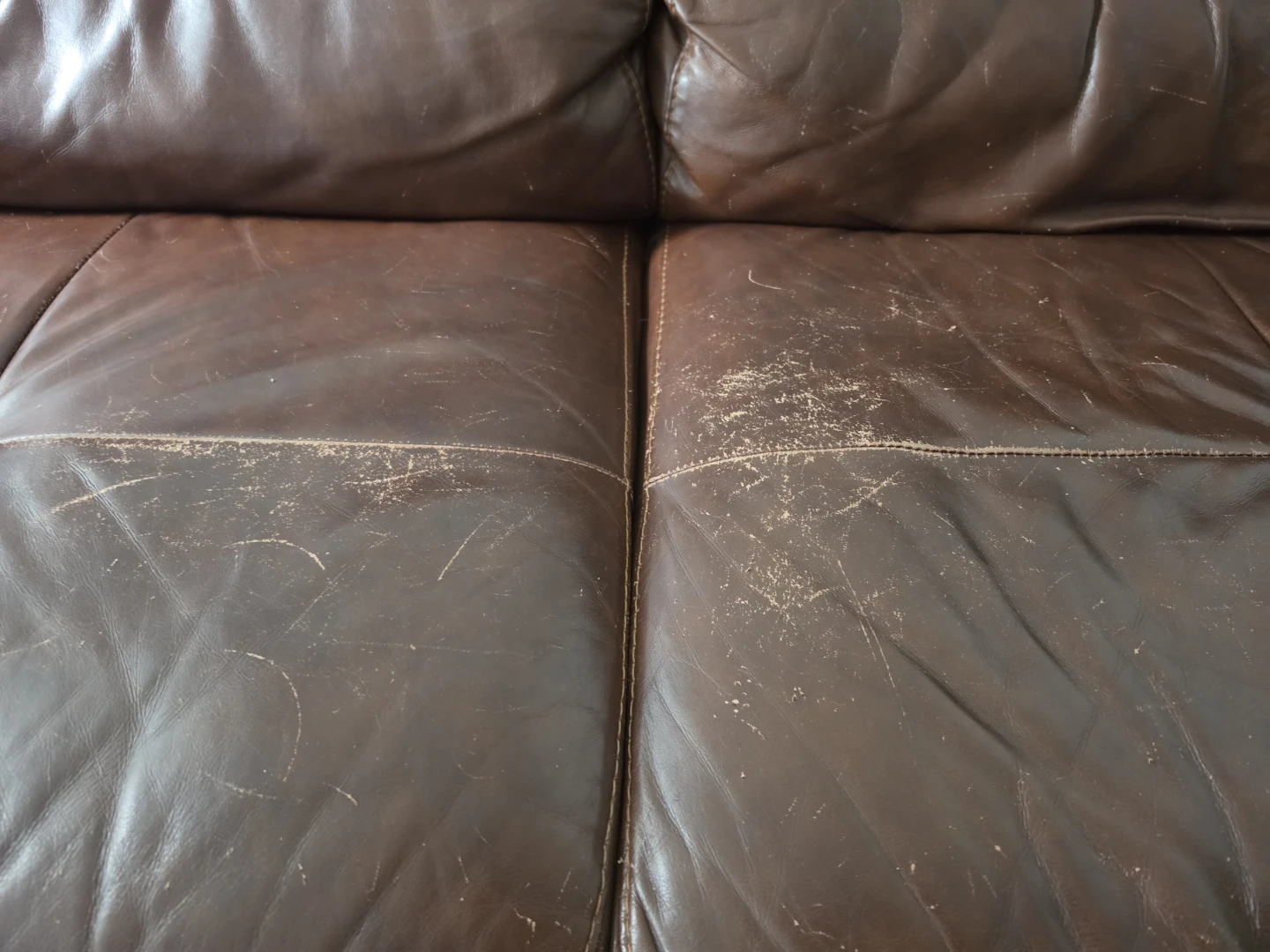 FREE Brown Leather Sofa - photo 3