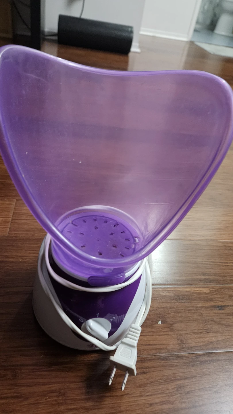 Facial Steamer