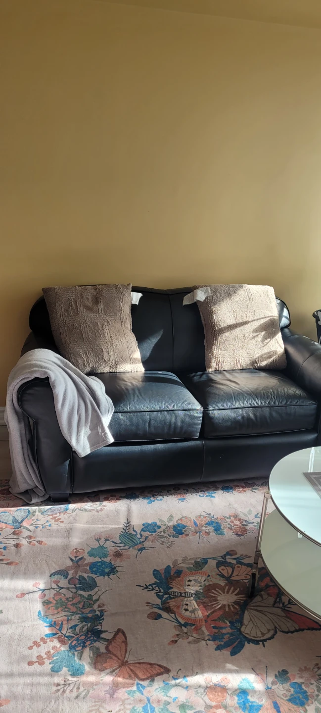 Black Leather Sofa