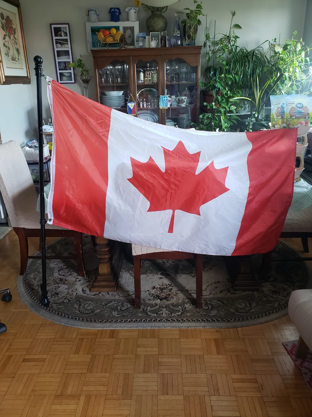 Canadian Flag with Stand