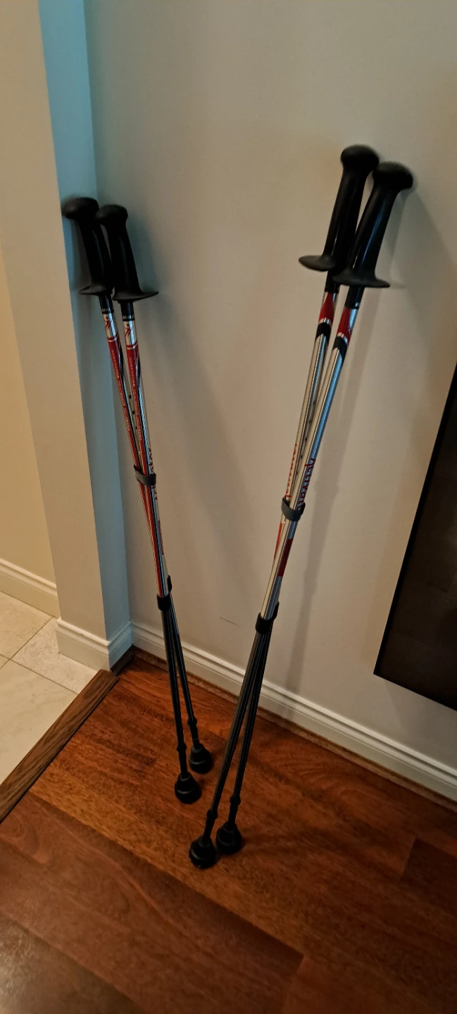Rossignol Ski Poles