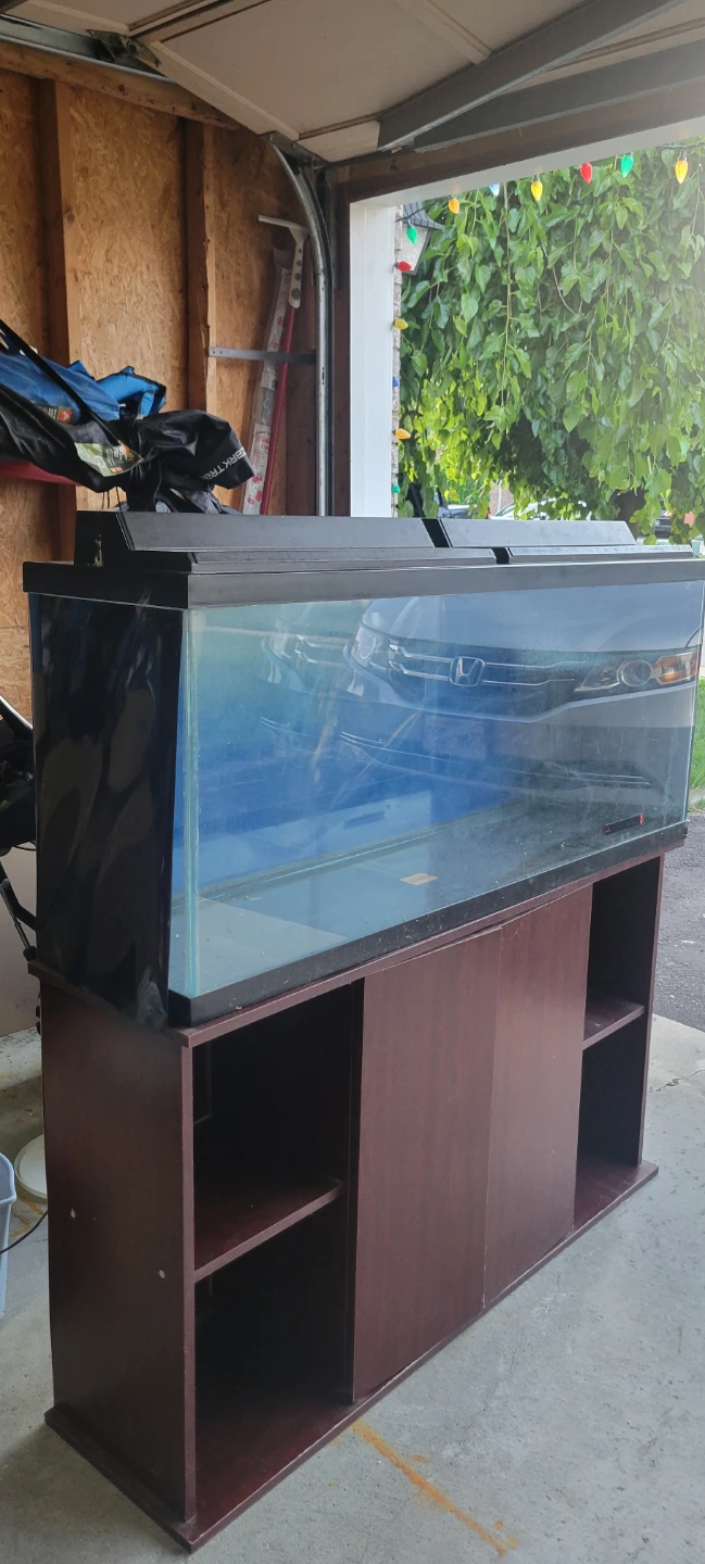 55 Gallon Large Aquarium with Stand