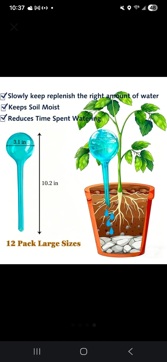 Plant Self Watering Globes - 12 Pack Large Size