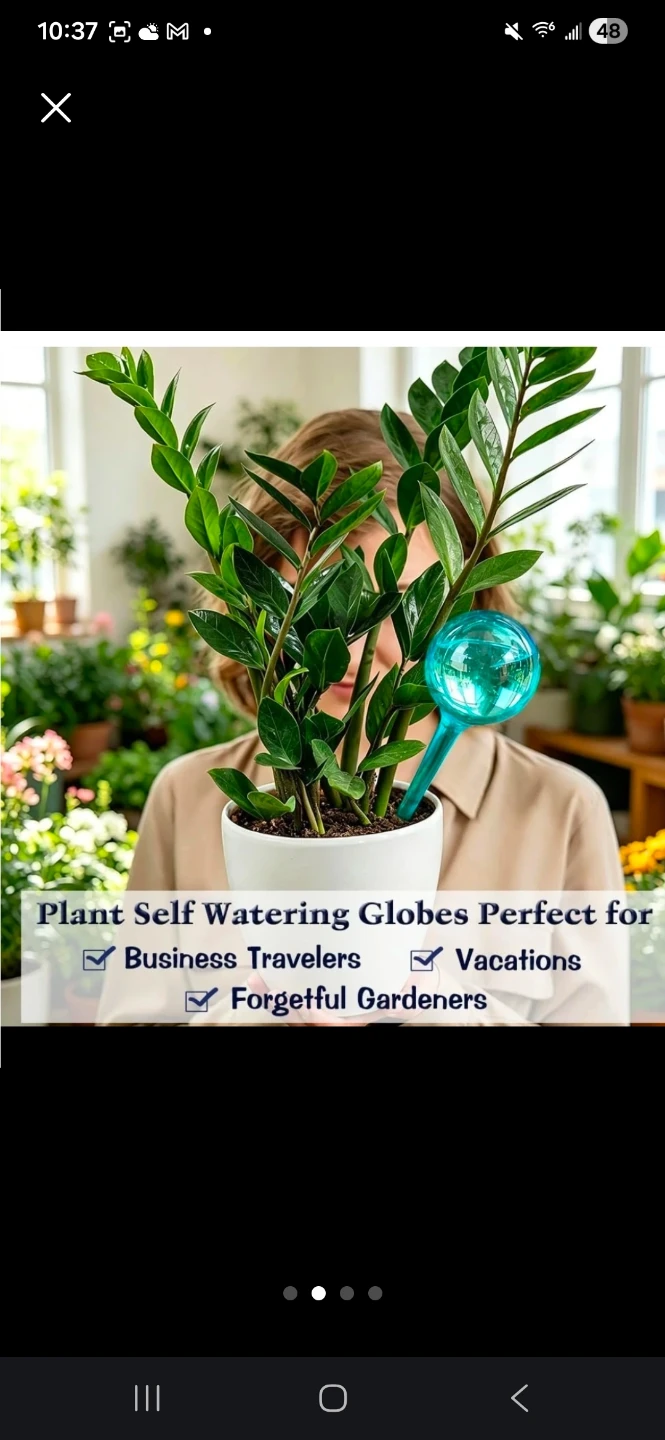 Plant Self Watering Globes - 12 Pack Large Size - photo 4