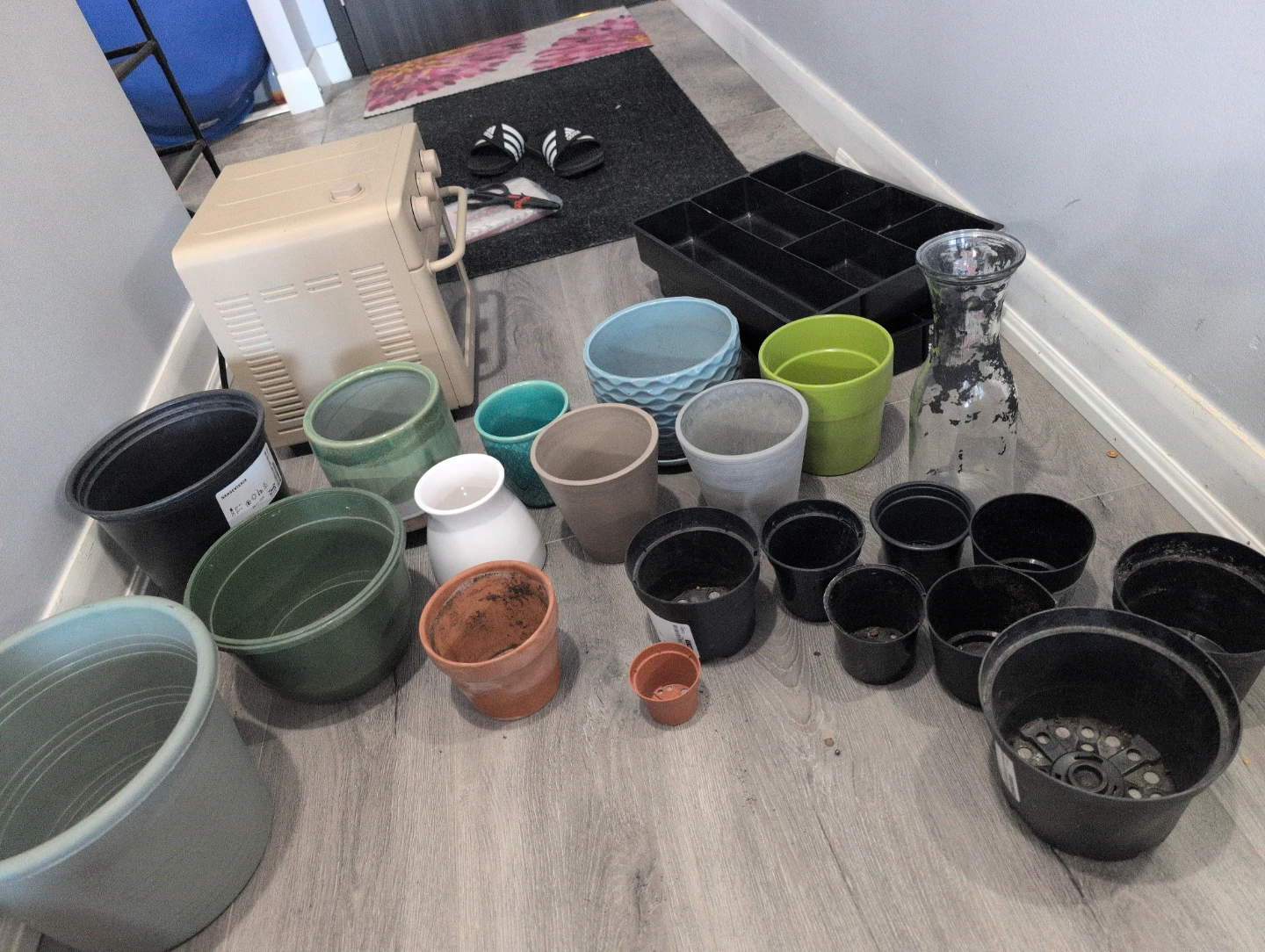 Assorted Plant Pots and Tray