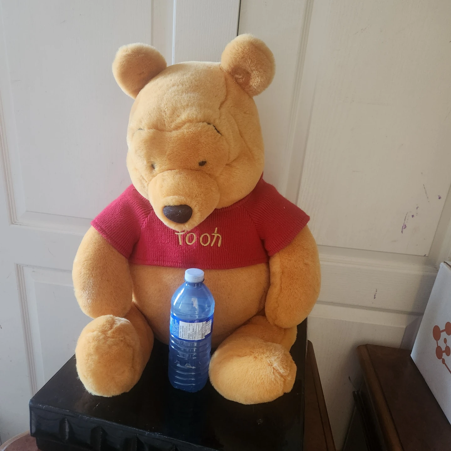 Disney Winnie the Pooh Plush Toy
