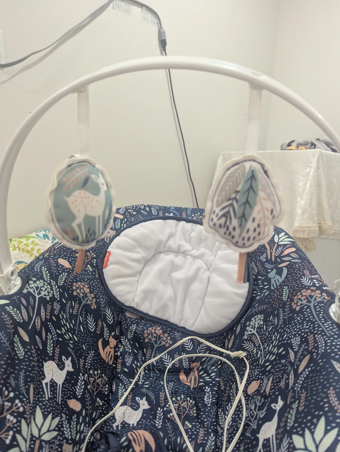 Fisher-Price Baby Swing - photo 4